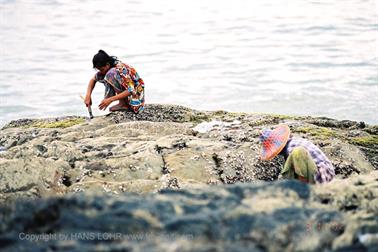16 Thailand 2002 F1080036 Khao Lak Muschelsucherin_478